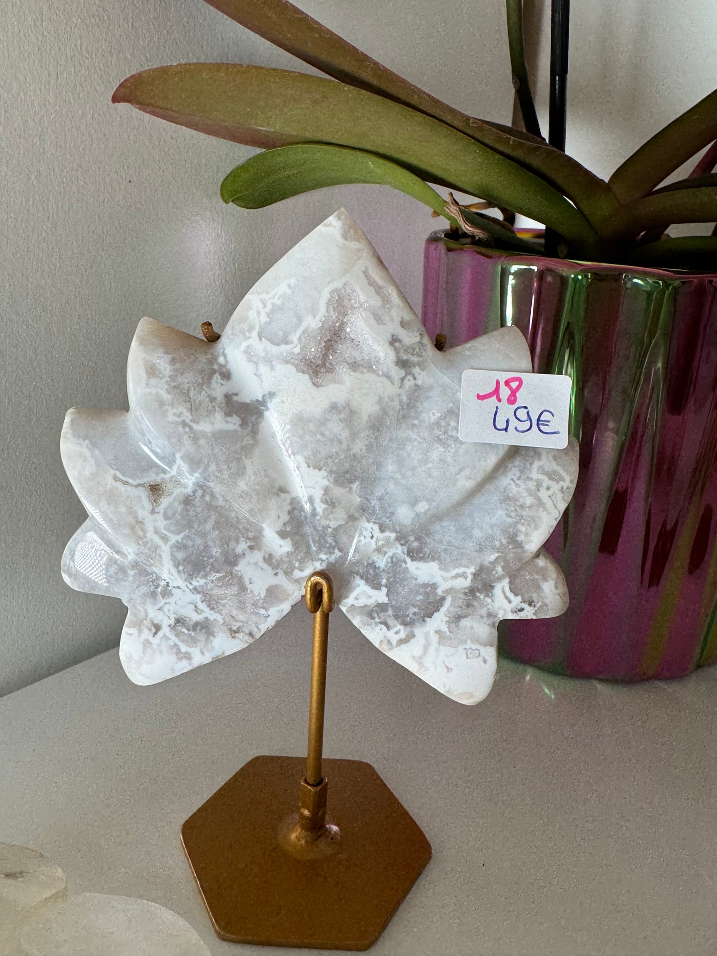 Lotus en Agate neige