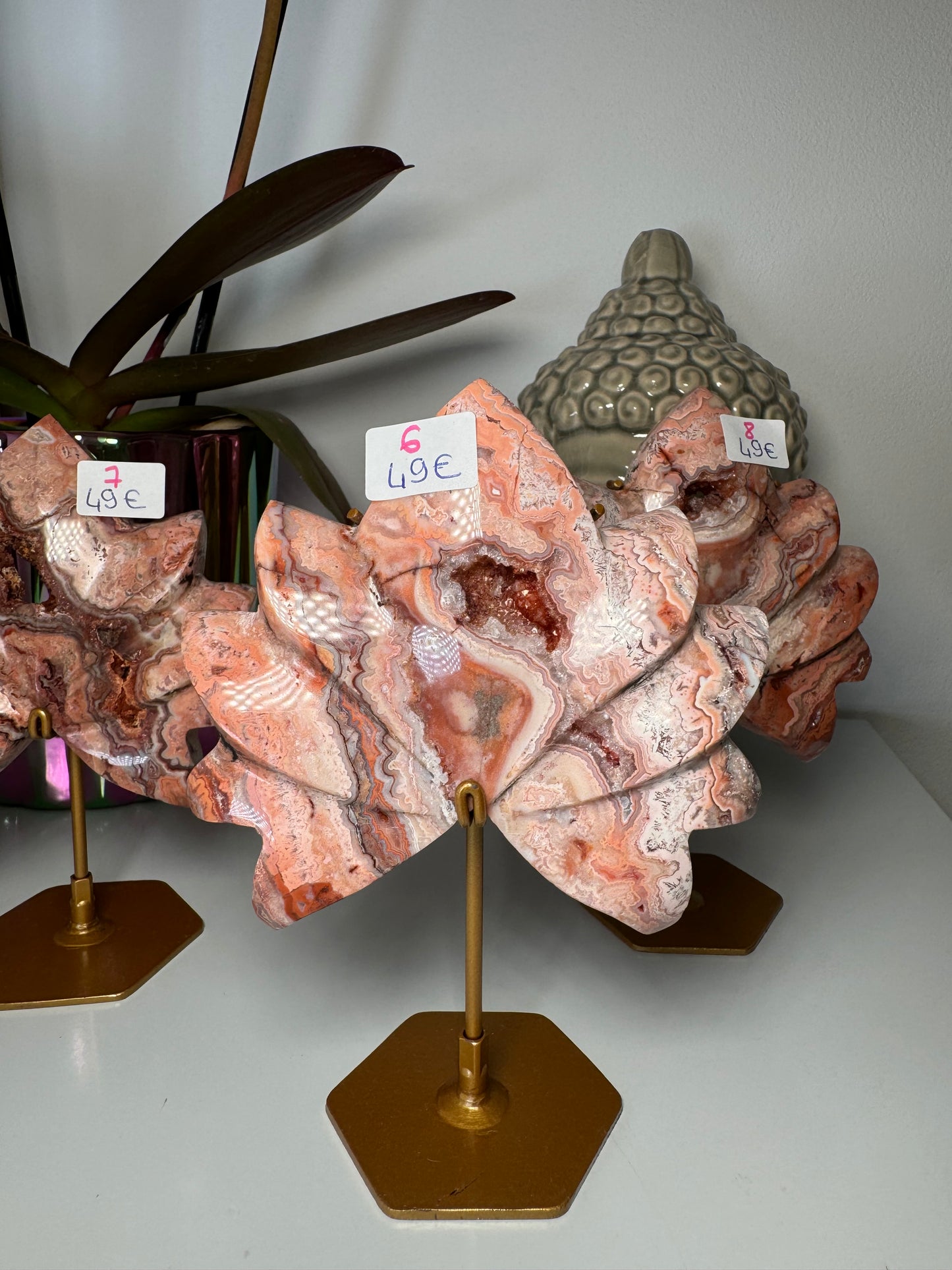 Lotus Agate Crazy Lace Rose