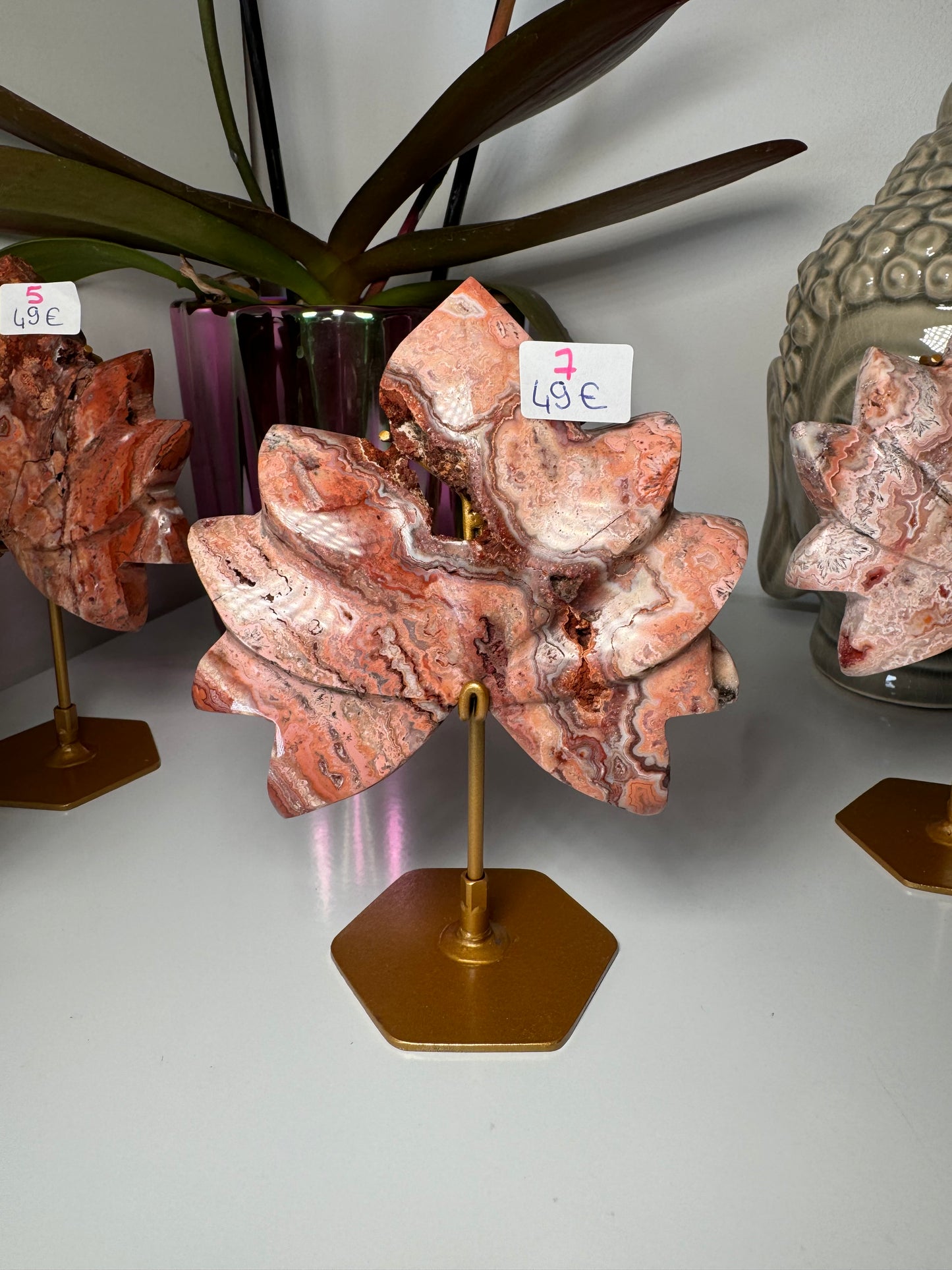 Lotus Agate Crazy Lace Rose