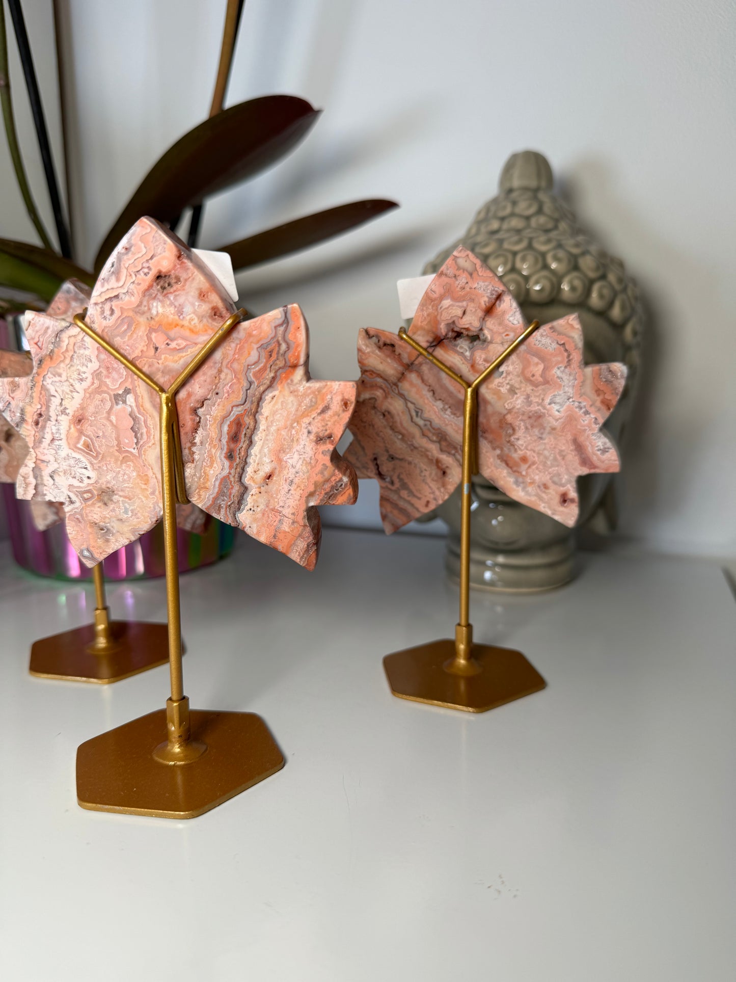 Lotus Agate Crazy Lace Rose
