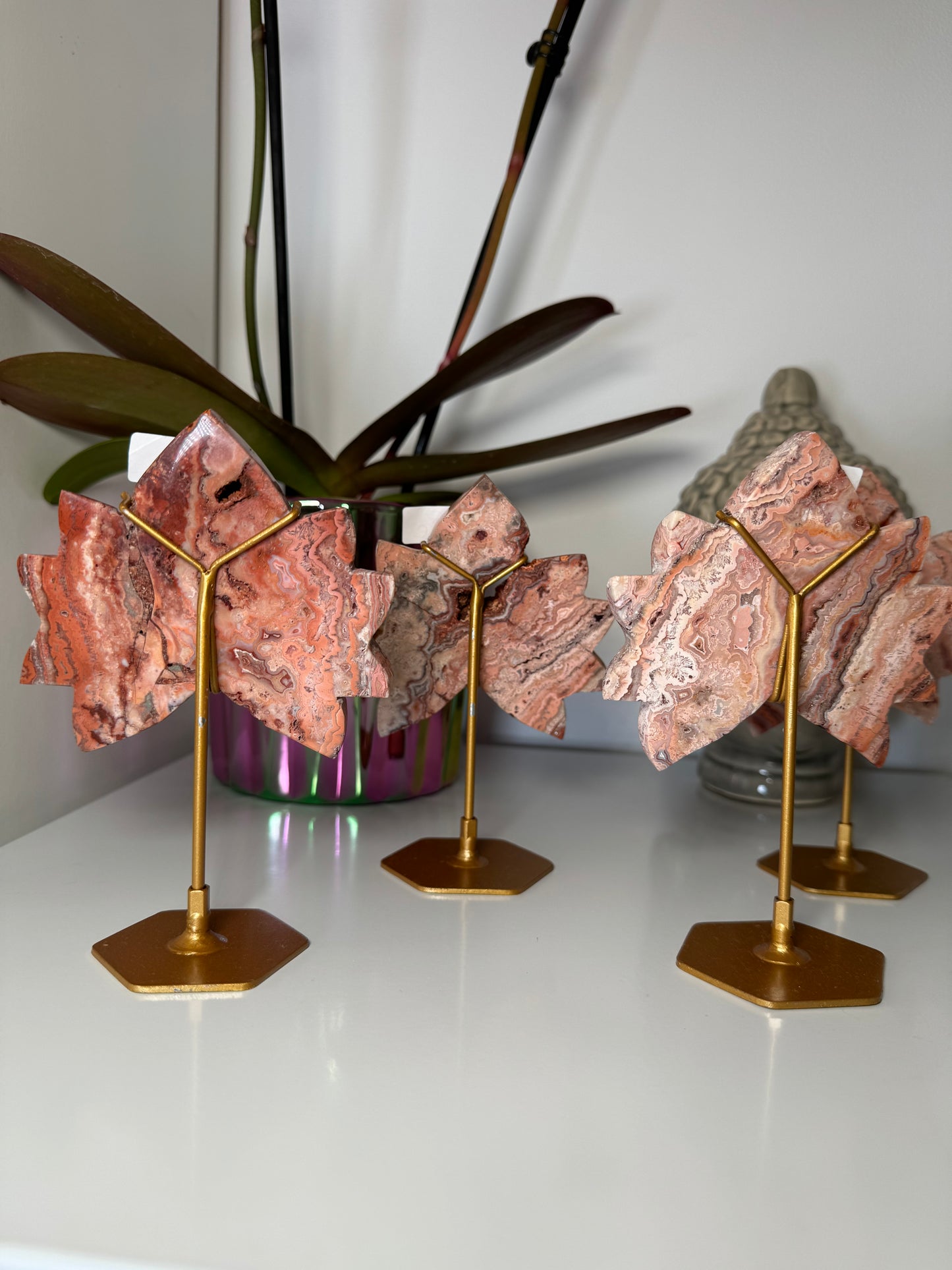 Lotus Agate Crazy Lace Rose