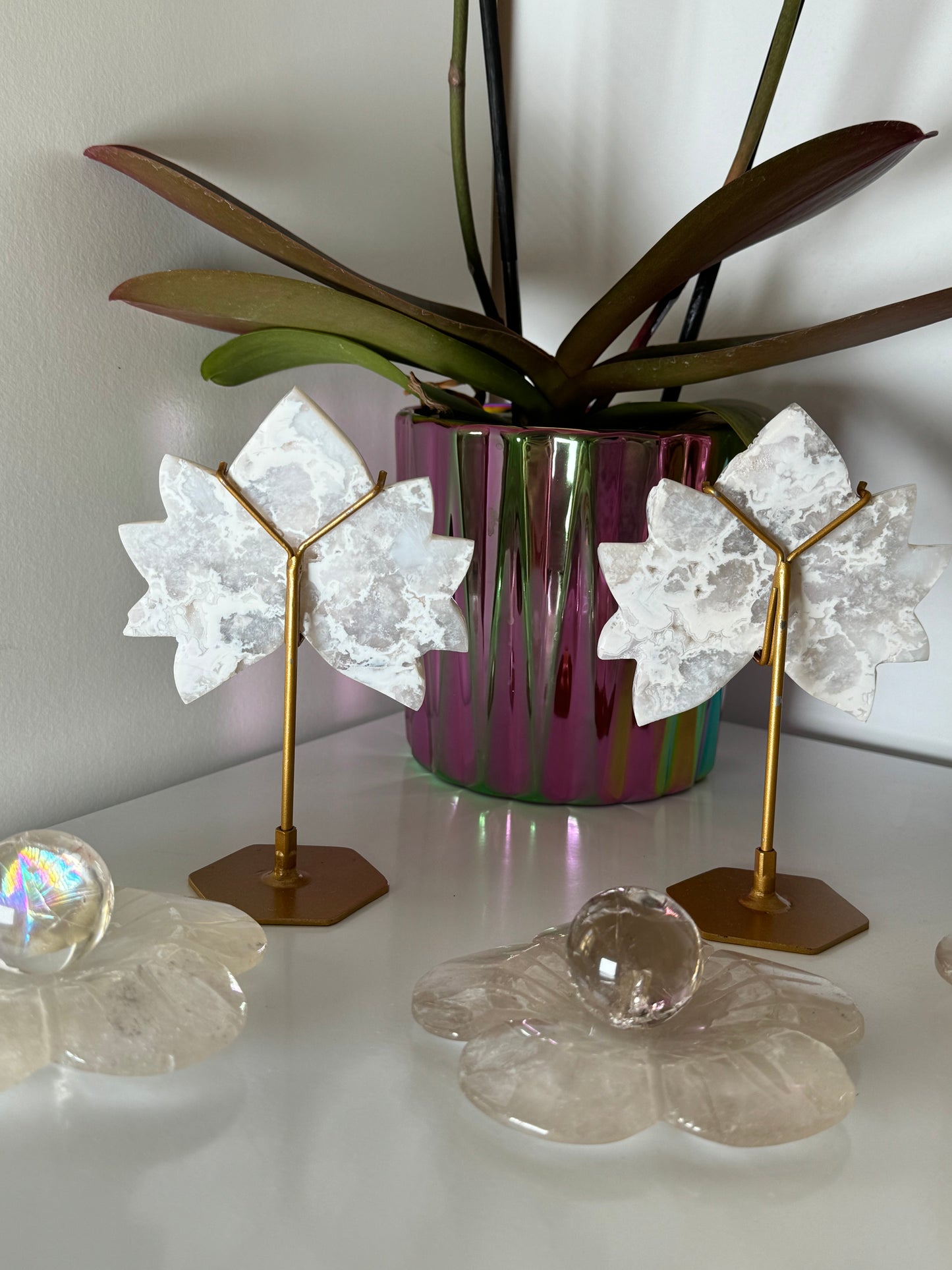 Lotus en Agate neige