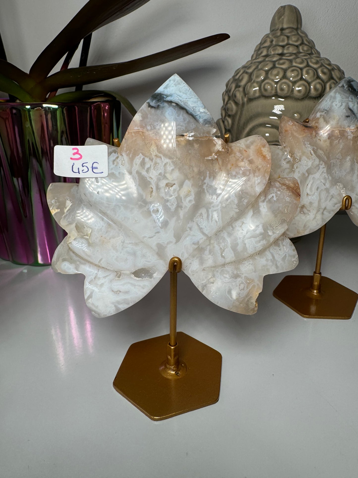 Lotus en Agate Plume