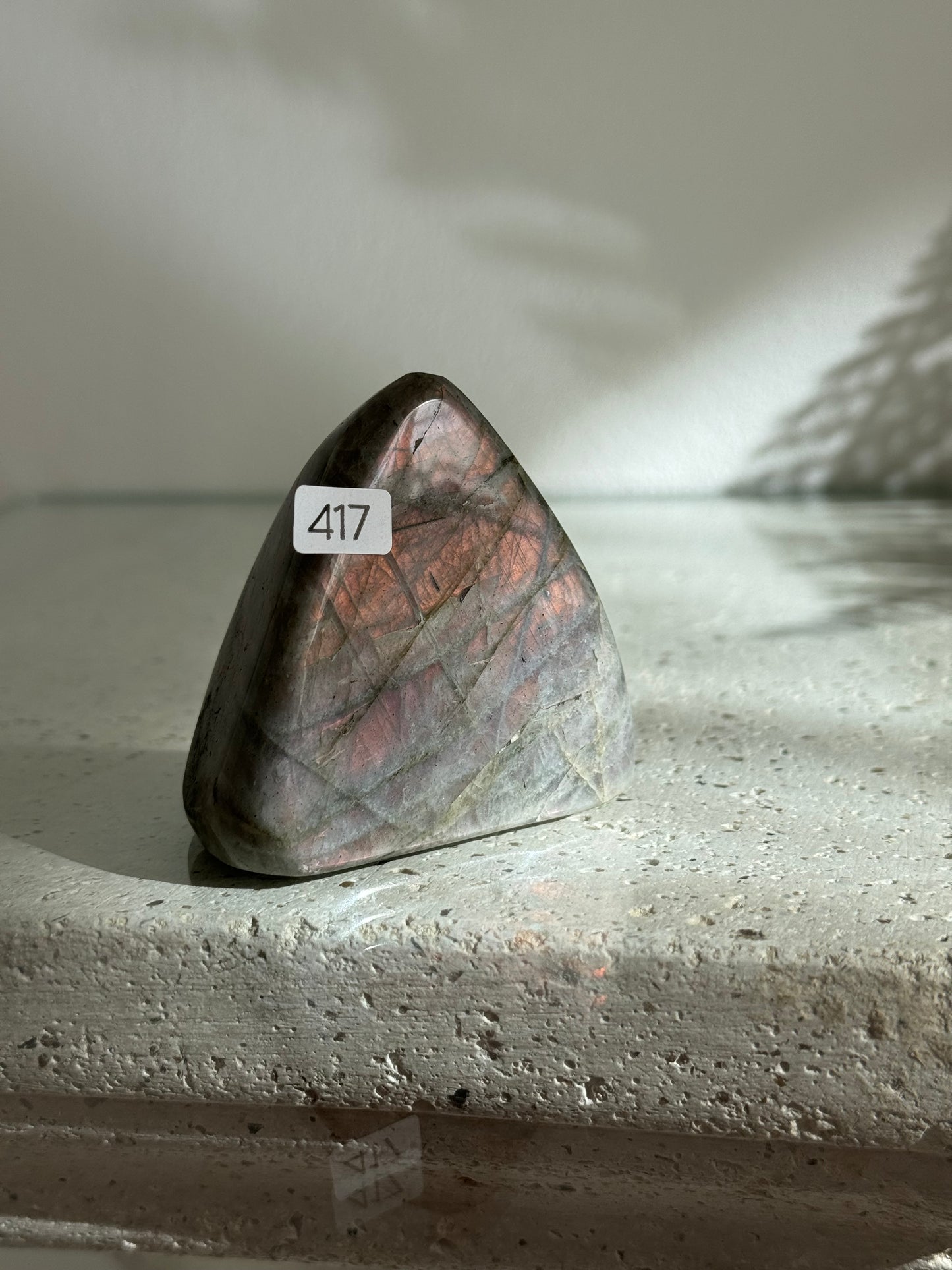 Labradorites