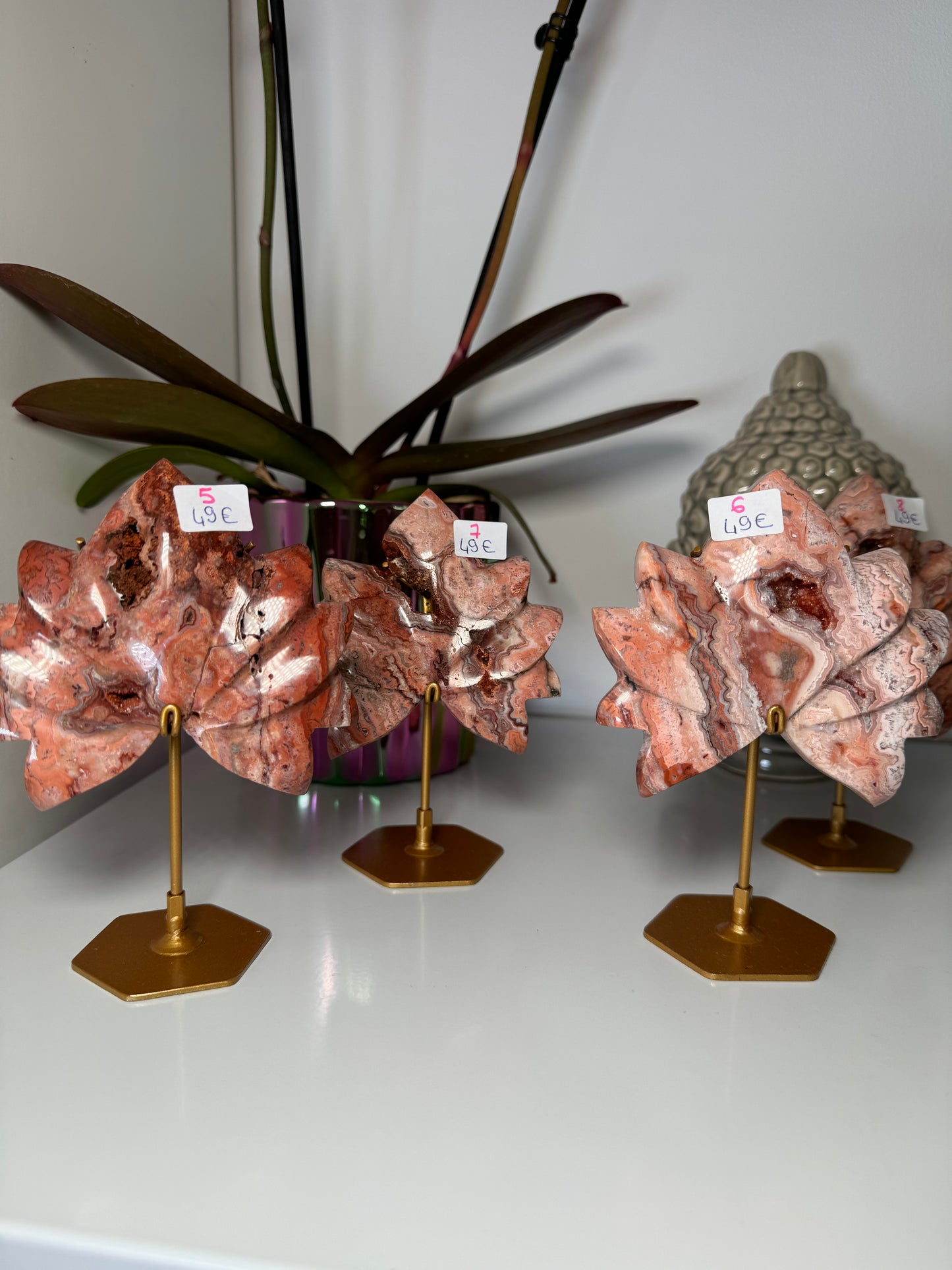 Lotus Agate Crazy Lace Rose