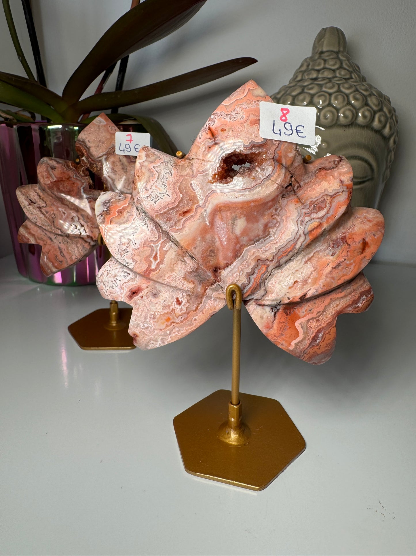 Lotus Agate Crazy Lace Rose