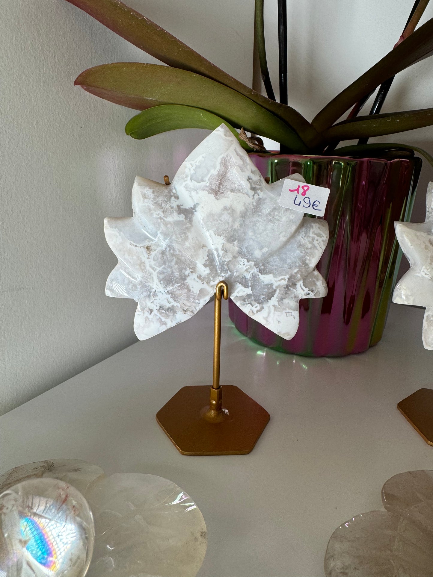 Lotus en Agate neige
