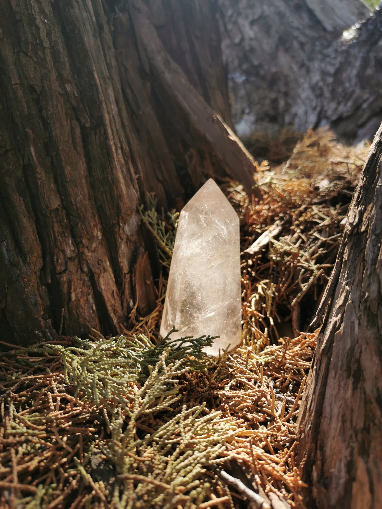 Promo, Pointe en Quartz Fumé