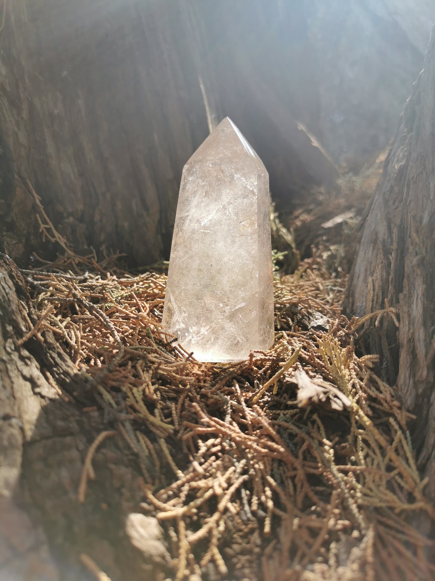 Promo, Pointe en Quartz Fumé