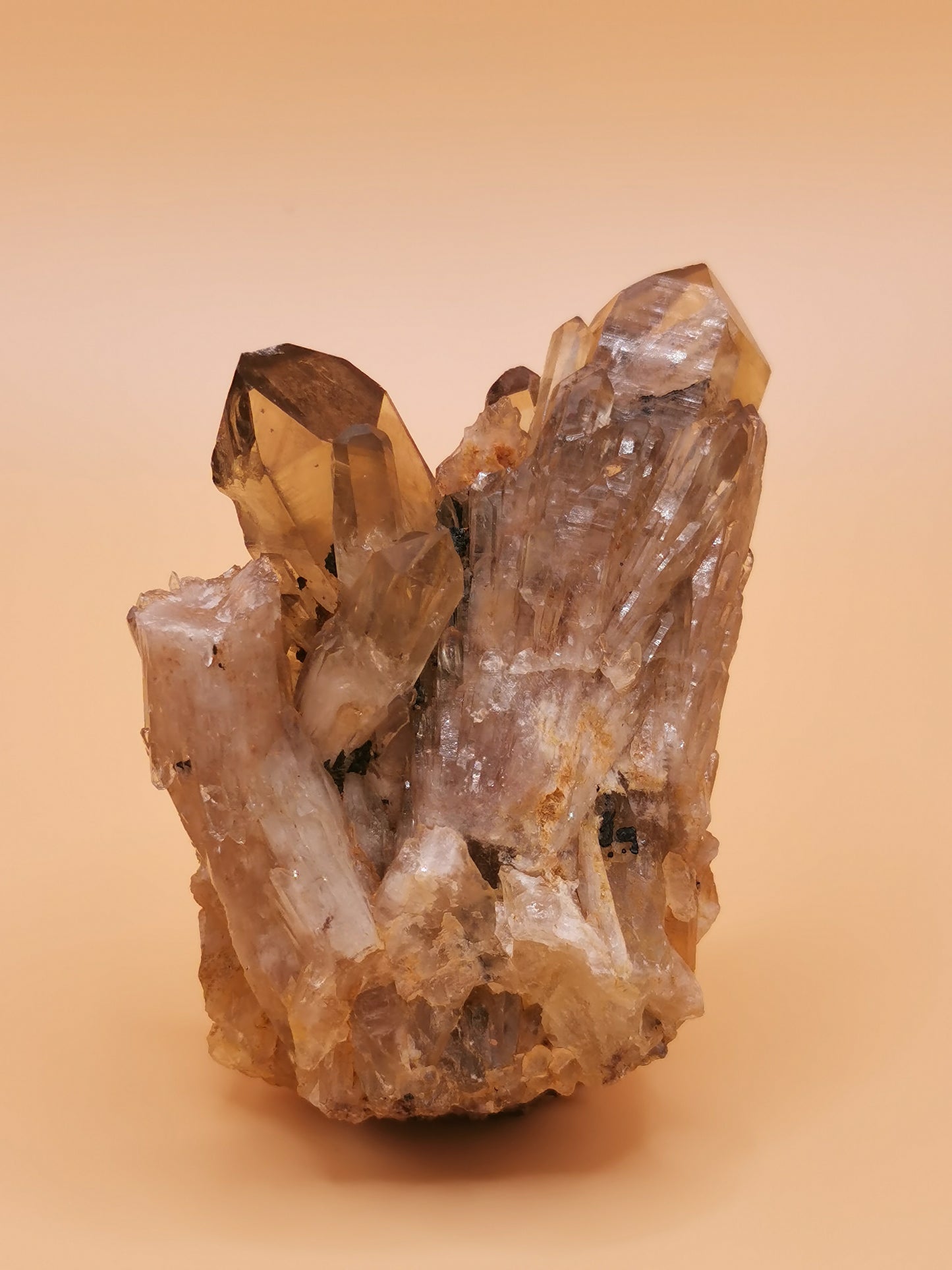 Promo, Citrine Brute