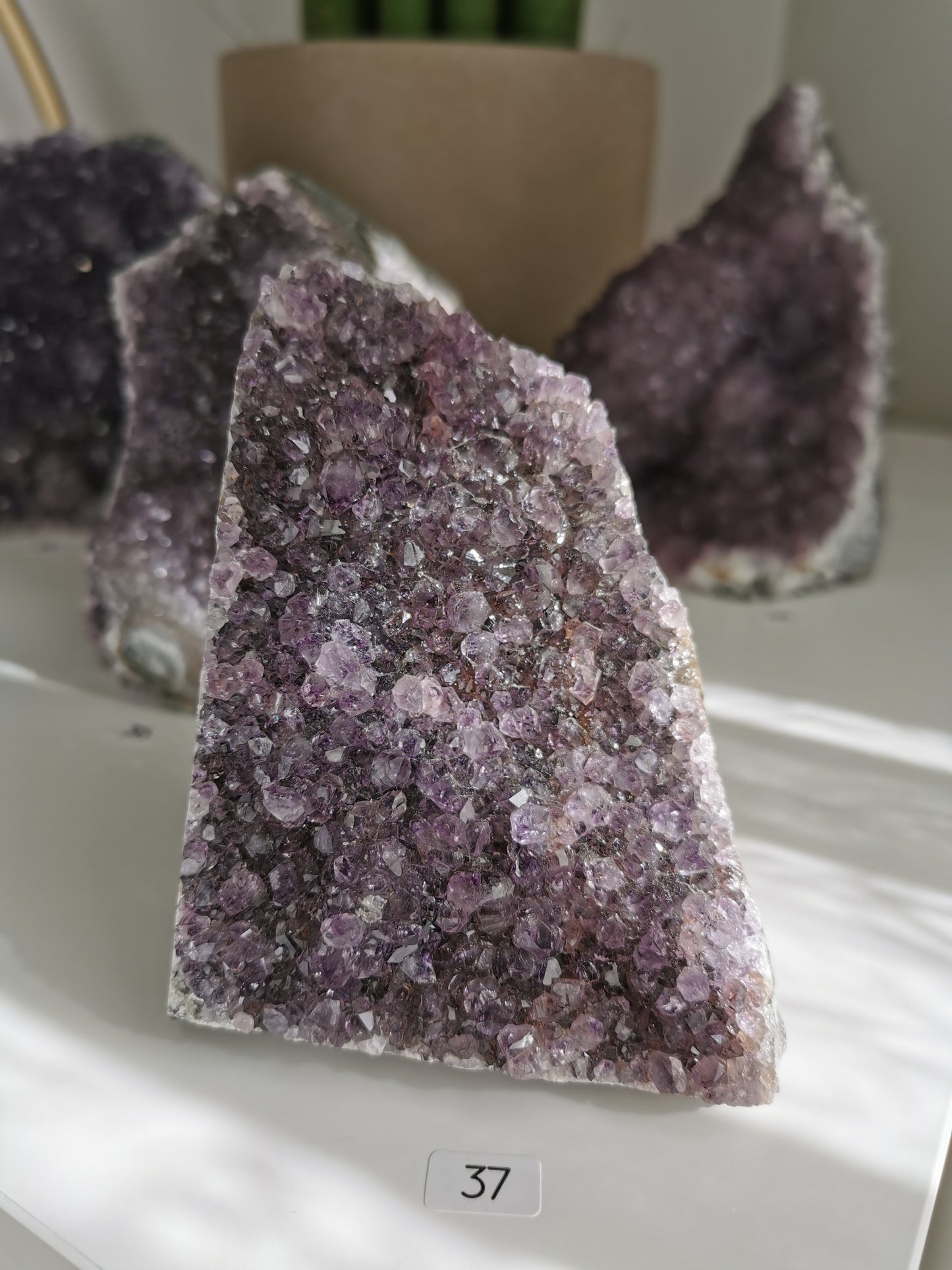 Améthystes cut bases