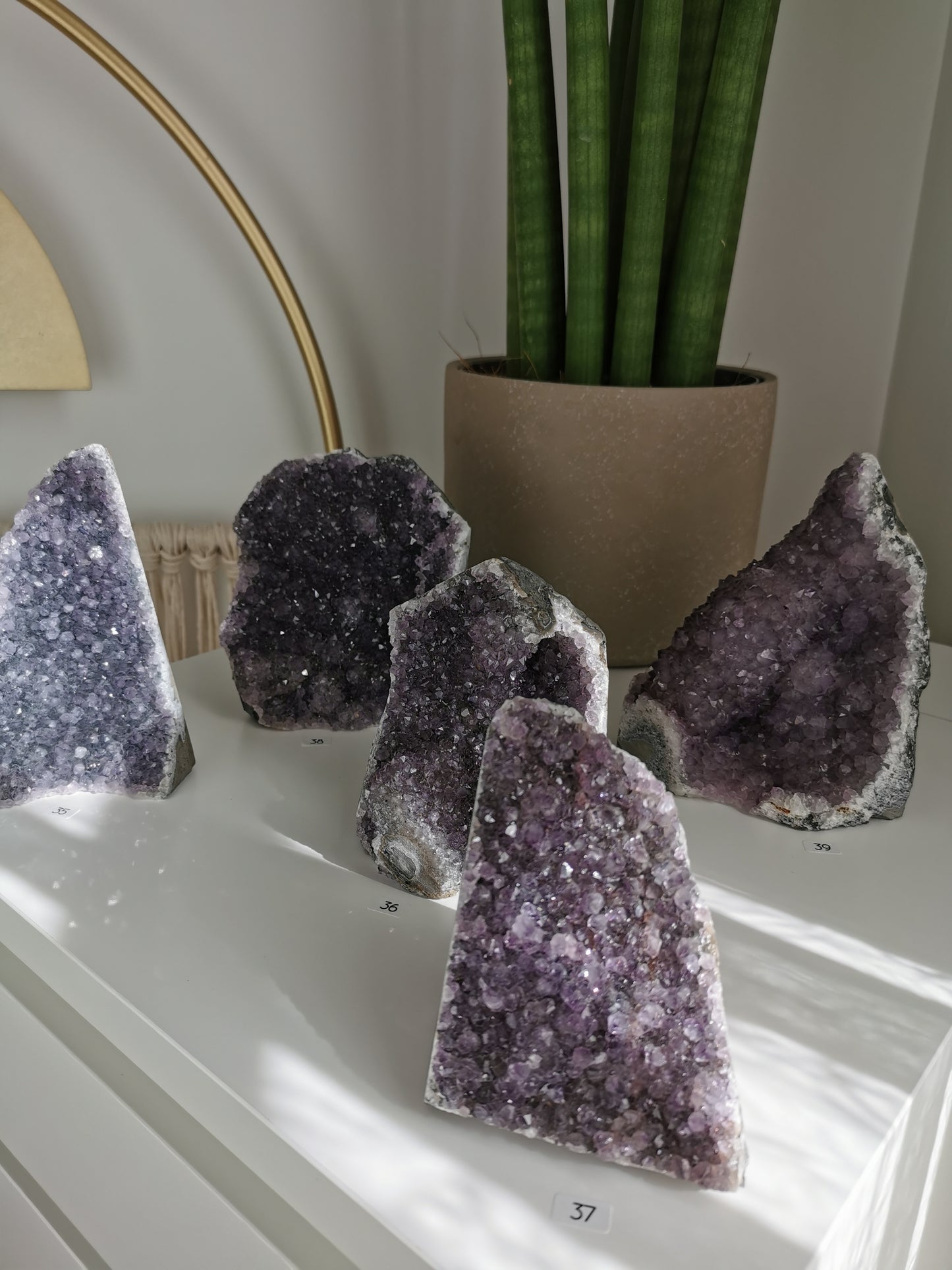 Améthystes cut bases