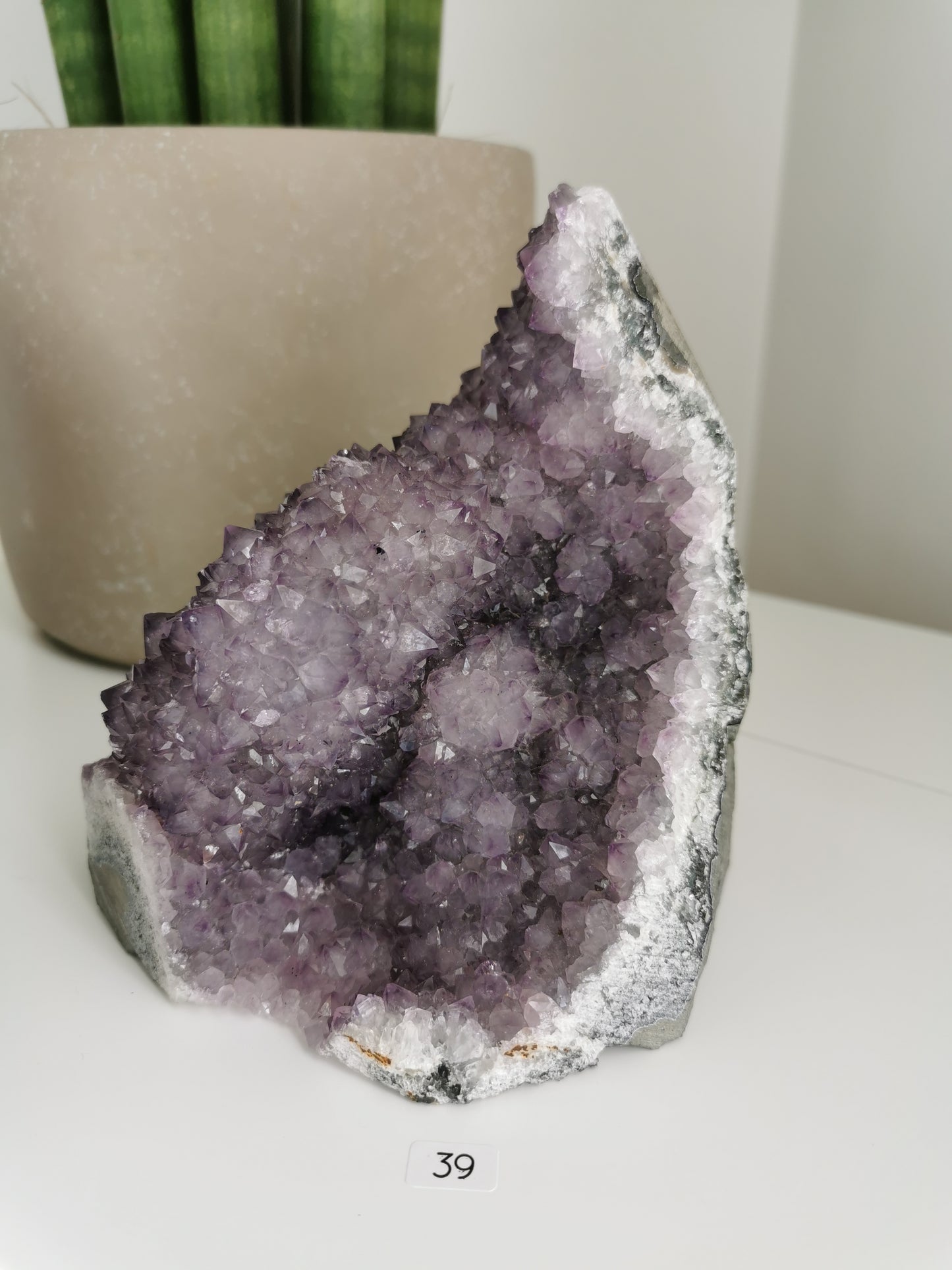 Améthystes cut bases