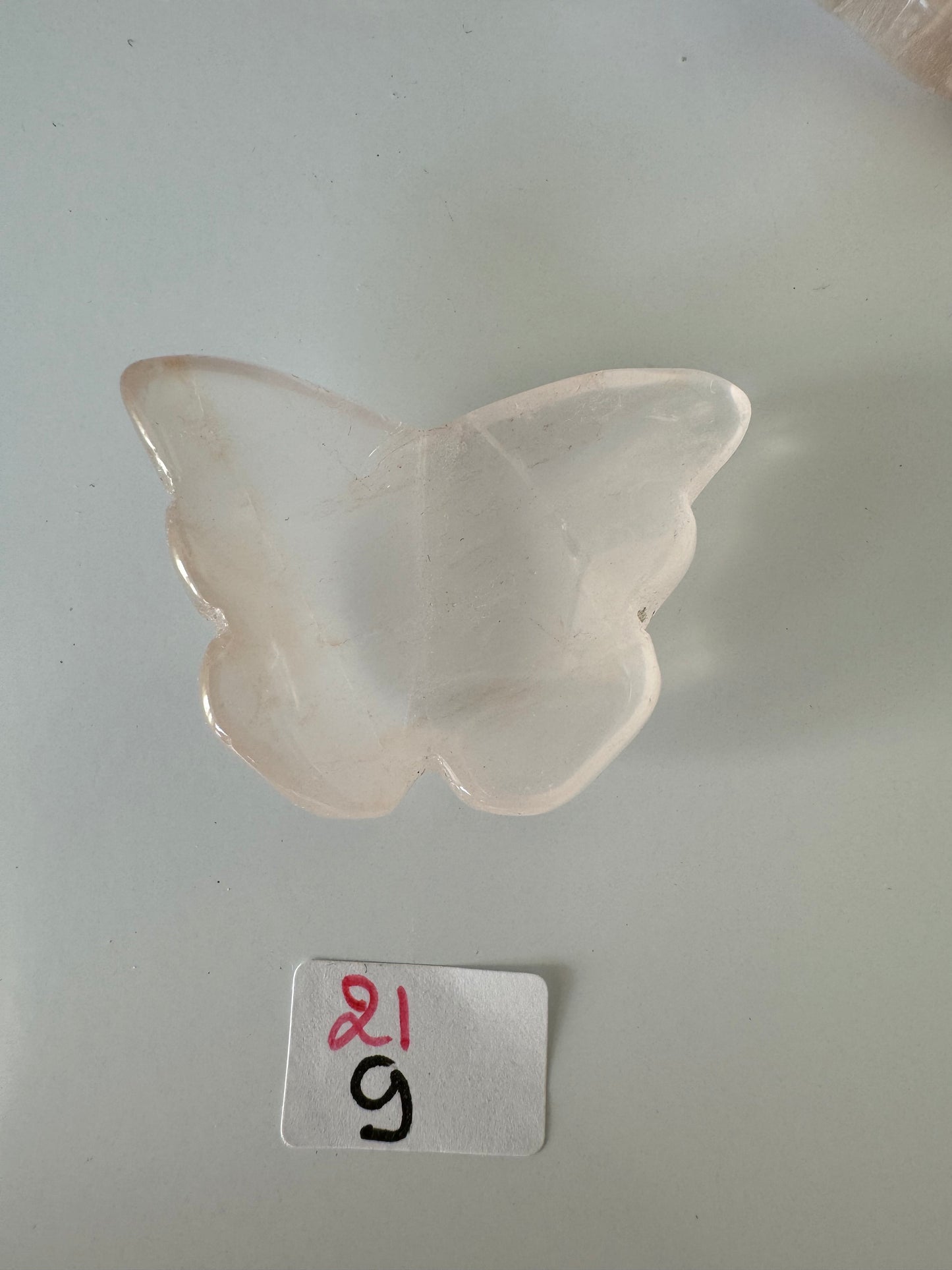 Petits Papillons