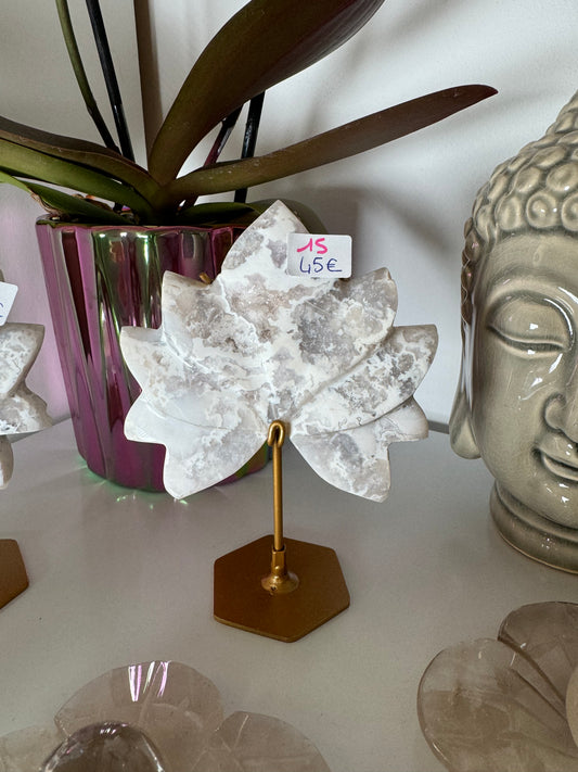 Lotus en Agate neige