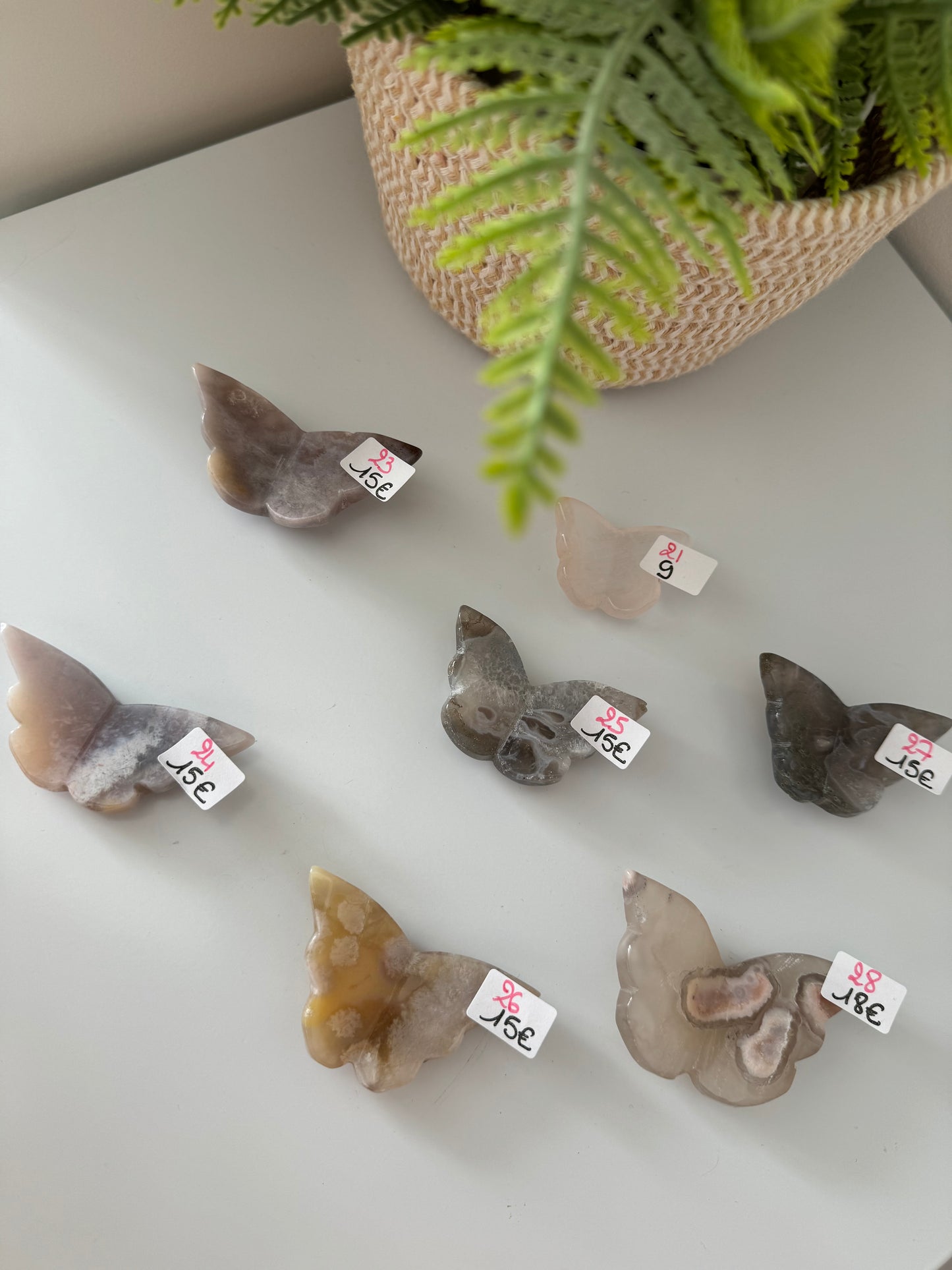 Petits Papillons