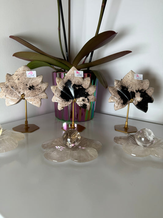 Lotus en Racine de Palmier