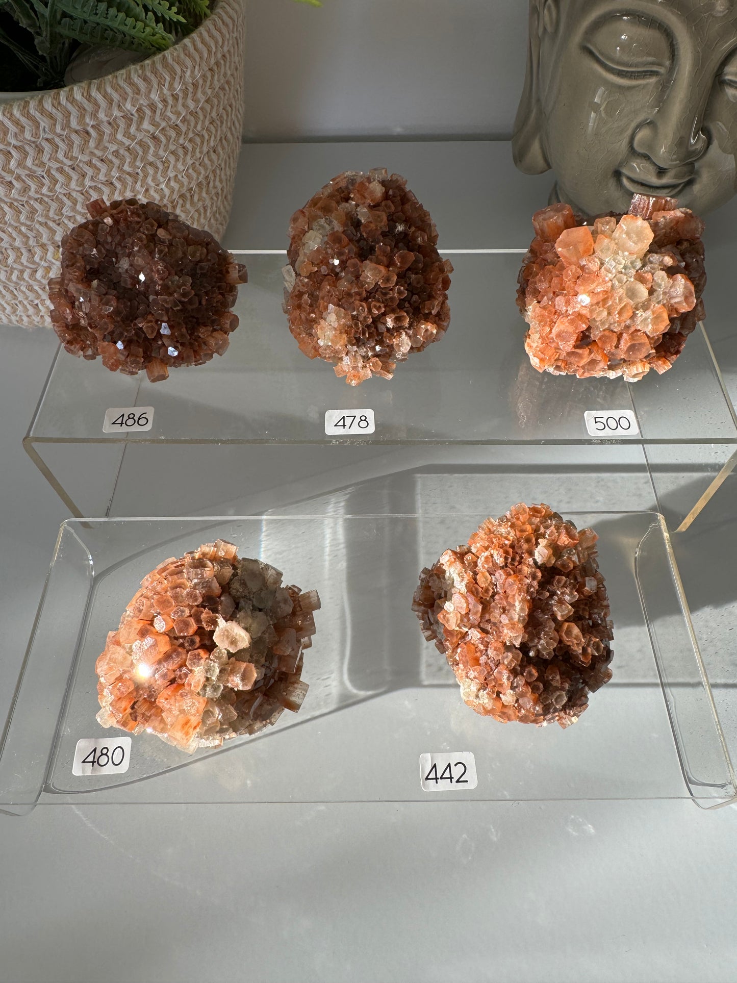 Aragonites Cristallisées