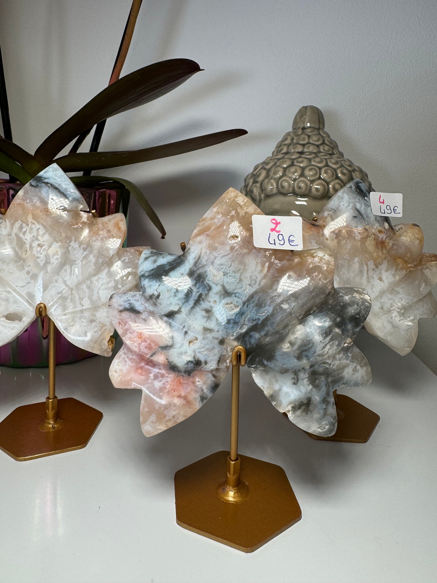 Lotus en Agate Plume