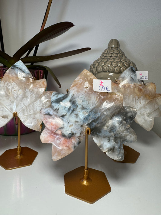 Lotus en Agate Plume