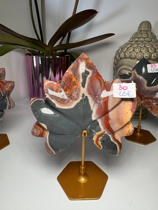 Lotus Jaspe Polychrome
