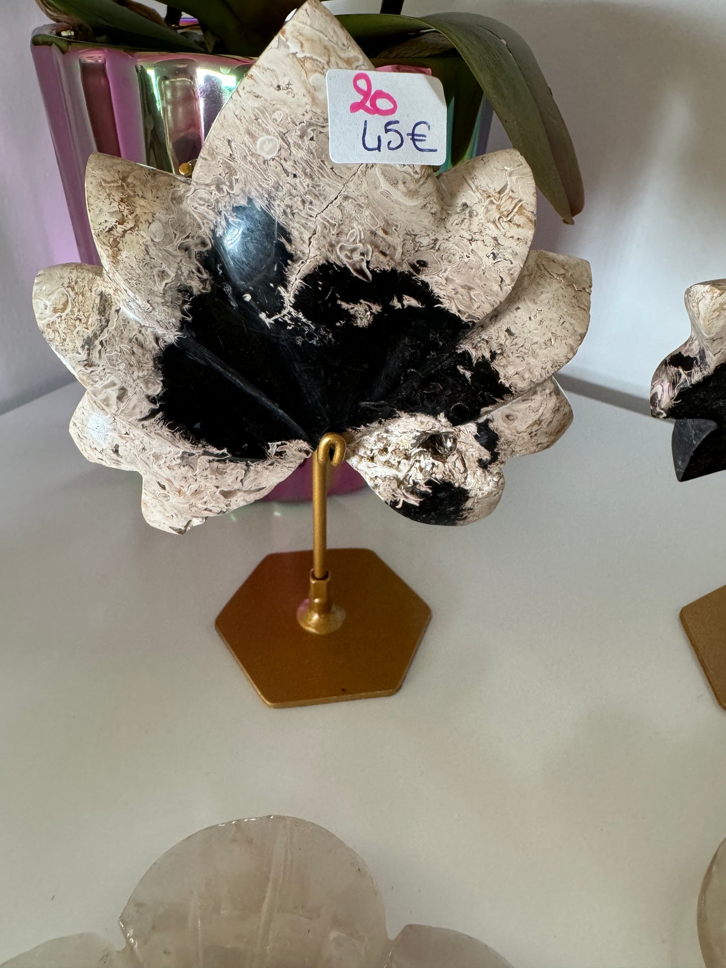 Lotus en Racine de Palmier