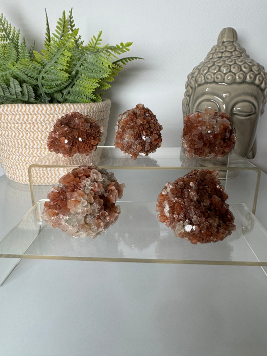 Aragonites Cristallisées