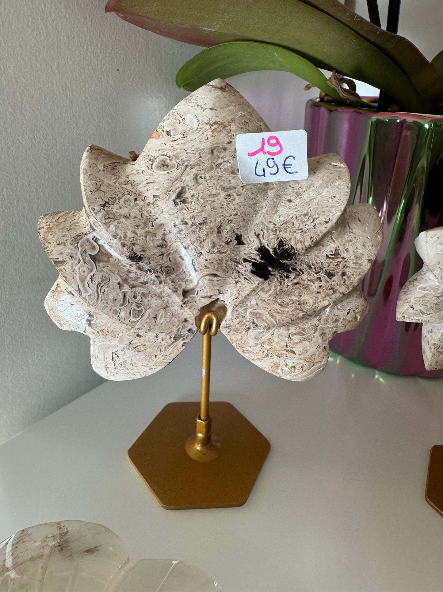 Lotus en Racine de Palmier