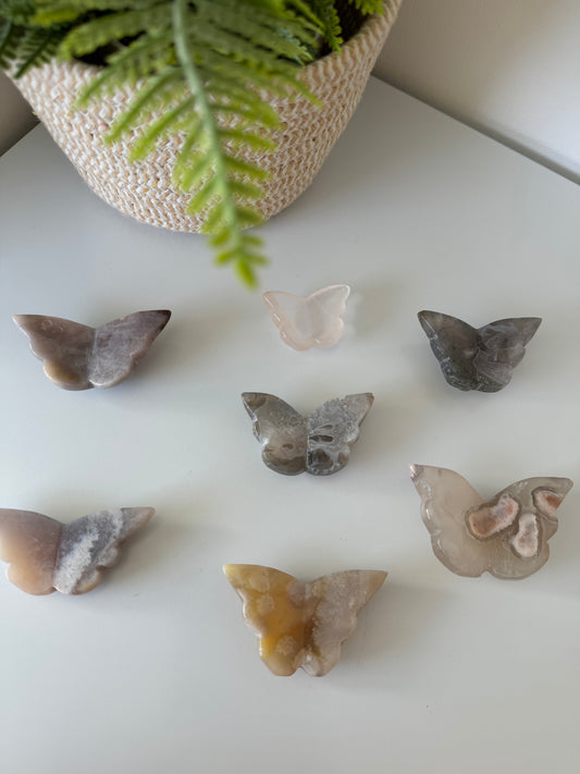 Petits Papillons