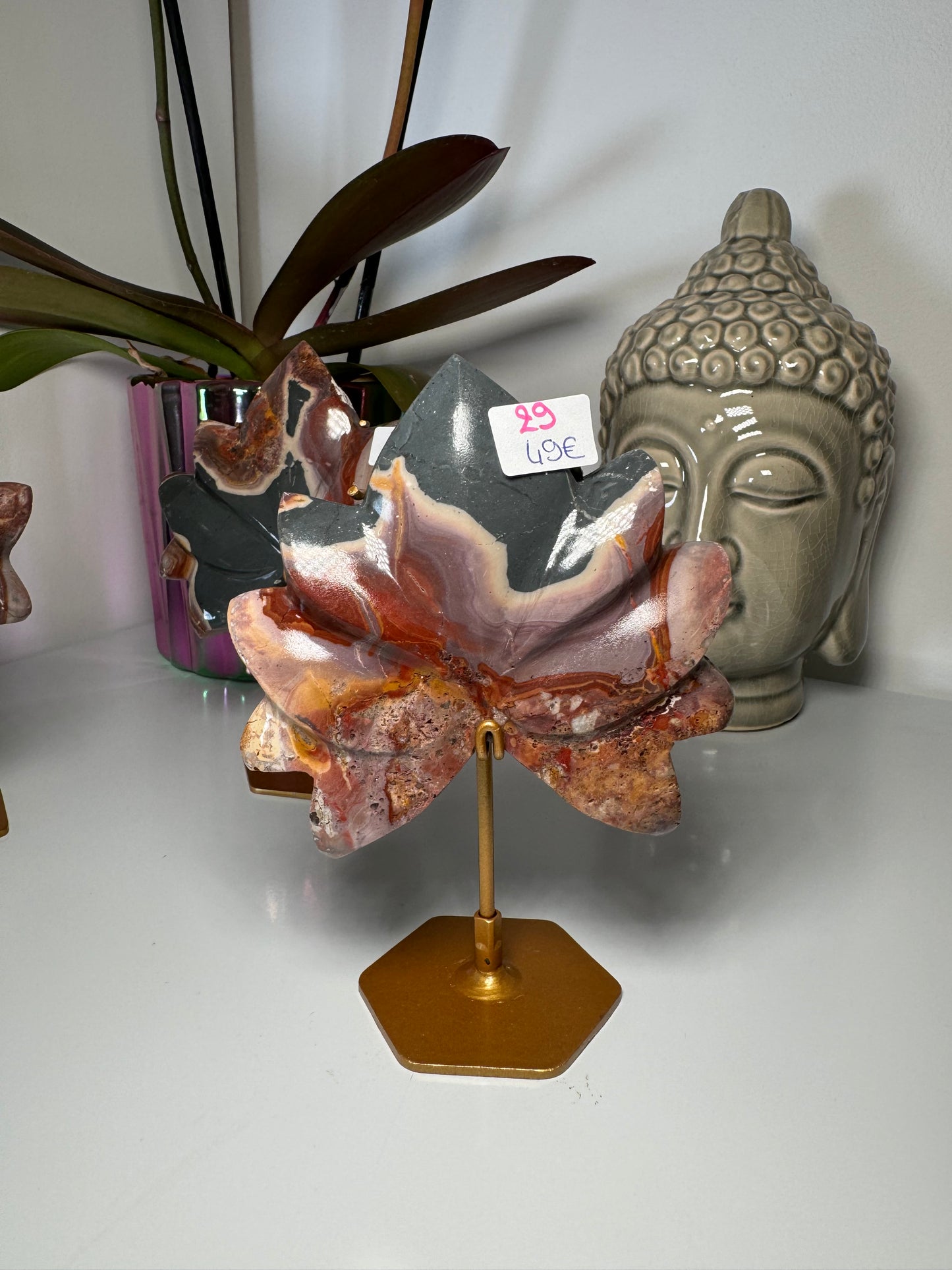 Lotus Jaspe Polychrome