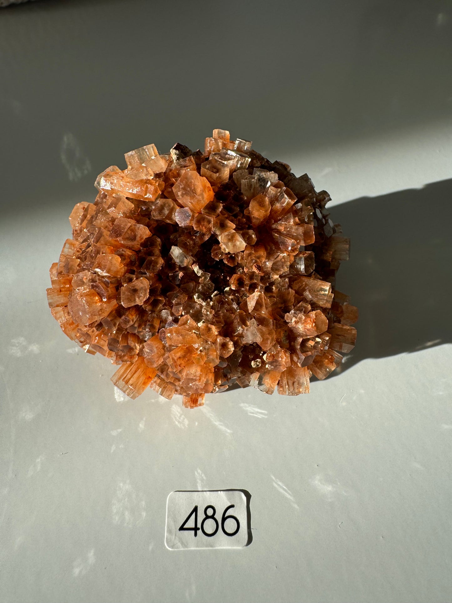 Aragonites Cristallisées