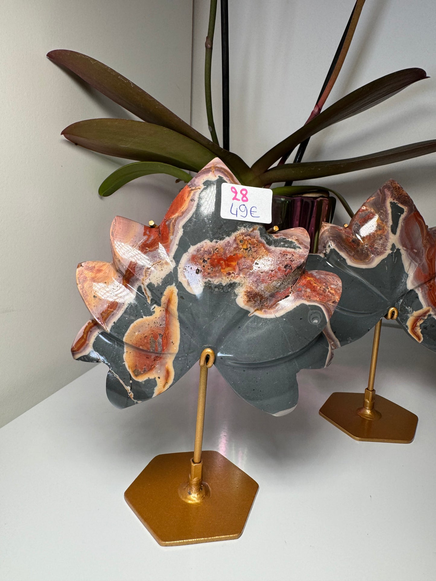 Lotus Jaspe Polychrome