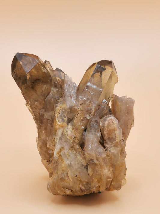 Promo, Citrine Brute