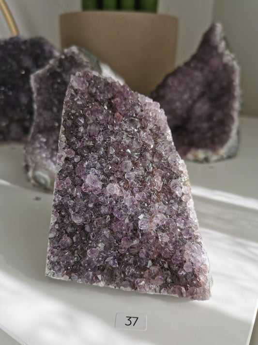 Améthystes cut bases