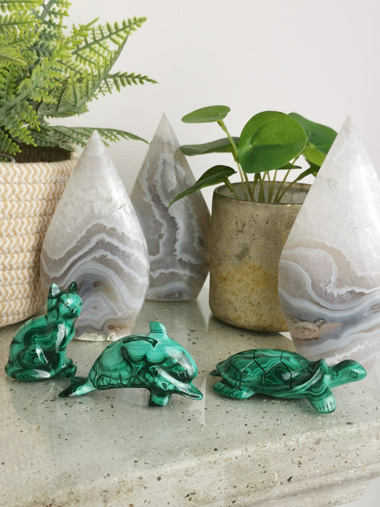 Animaux en Malachite